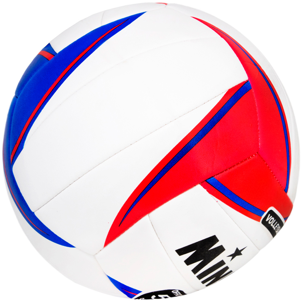 Мяч Волейбол №5 141V-269