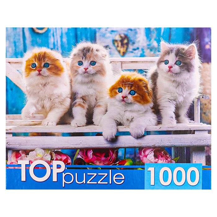 Пазл 1000 Котята скоттиш фолд ШТТП1000-4154